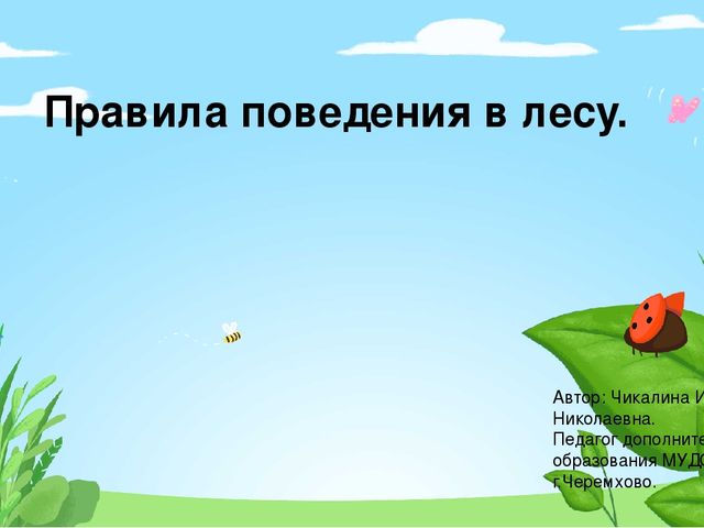 Презентация по программе "Лесоводство" на тему "Правила поведения в лесу"