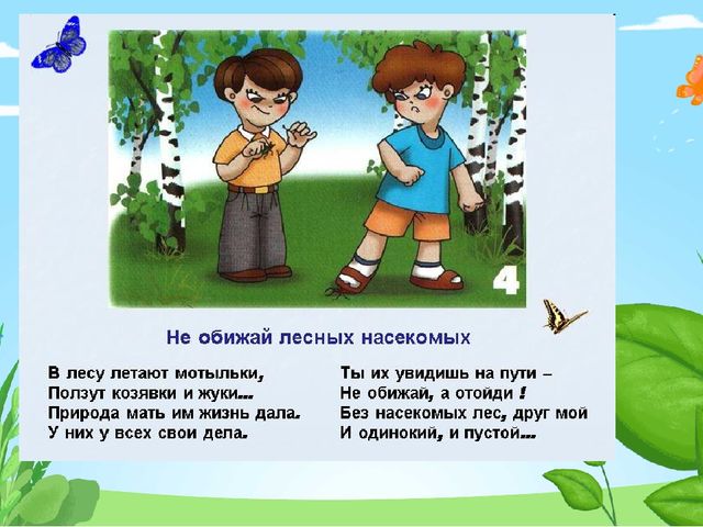Презентация по программе "Лесоводство" на тему "Правила поведения в лесу"