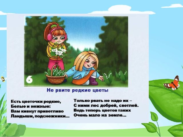Презентация по программе "Лесоводство" на тему "Правила поведения в лесу"