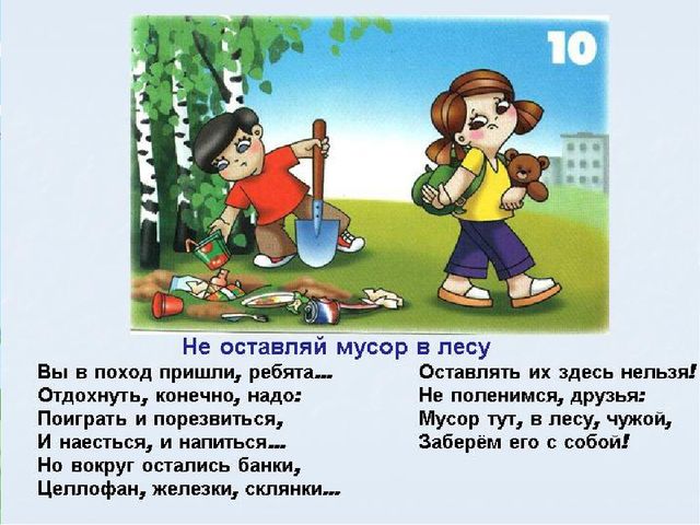 Презентация по программе "Лесоводство" на тему "Правила поведения в лесу"