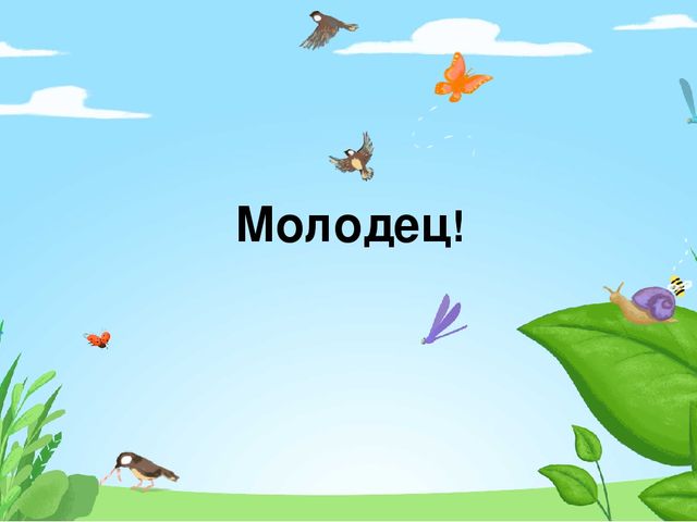 Презентация по программе "Лесоводство" на тему "Правила поведения в лесу"