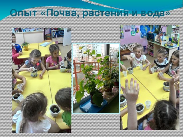 Презентация на тему: Познавательно-исследовательская деятельность