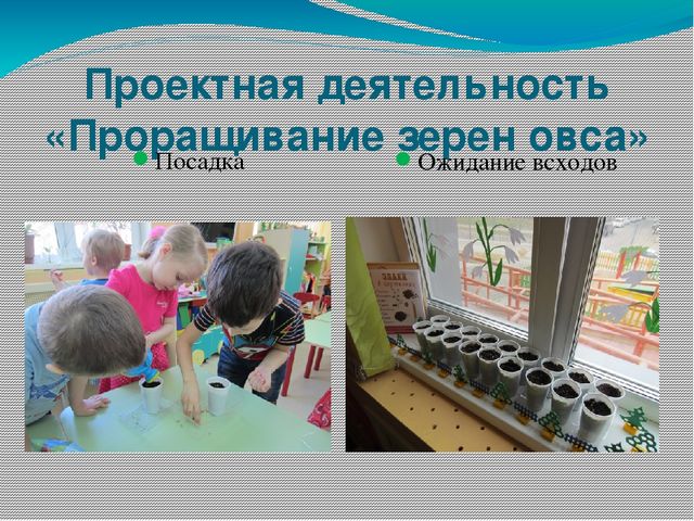 Презентация на тему: Познавательно-исследовательская деятельность