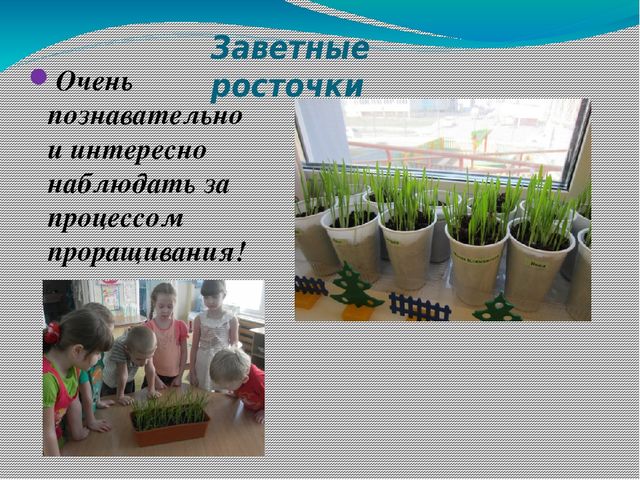 Презентация на тему: Познавательно-исследовательская деятельность