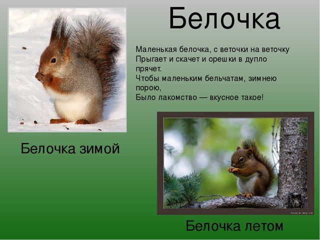 Презентация на тему "Зимушка-Зима"