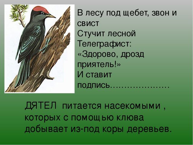 Презентация на тему "Зимушка-Зима"