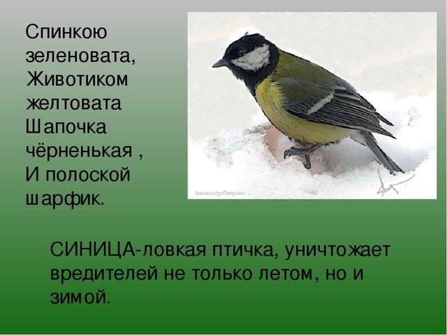 Презентация на тему "Зимушка-Зима"