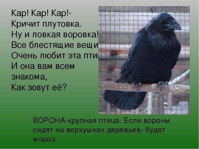 Презентация на тему "Зимушка-Зима"