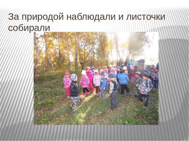 Презинтация. Золотая осень подготовительной группы.