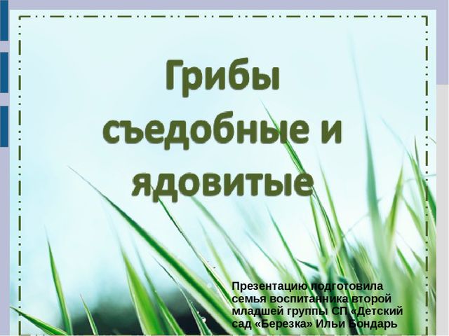 Презентация для детей младшего дошкольного возраста "Съедобные и несъедобные грибы"
