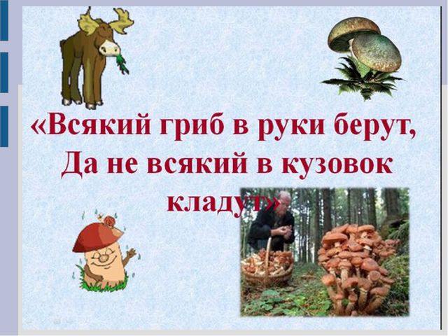 Презентация для детей младшего дошкольного возраста "Съедобные и несъедобные грибы"