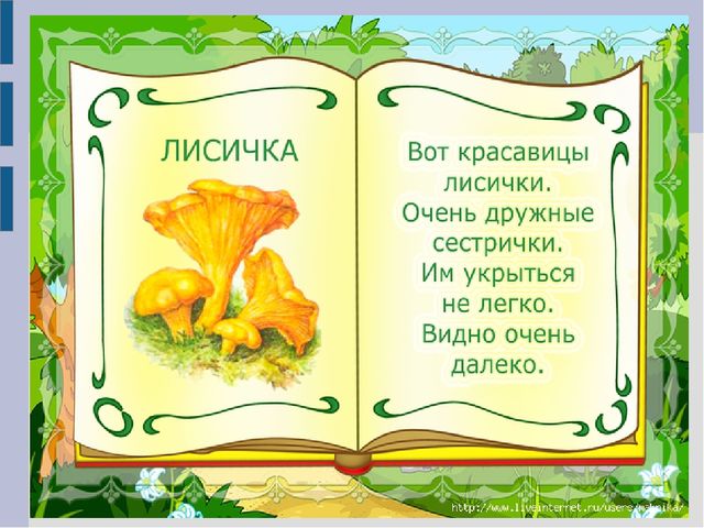Презентация для детей младшего дошкольного возраста "Съедобные и несъедобные грибы"