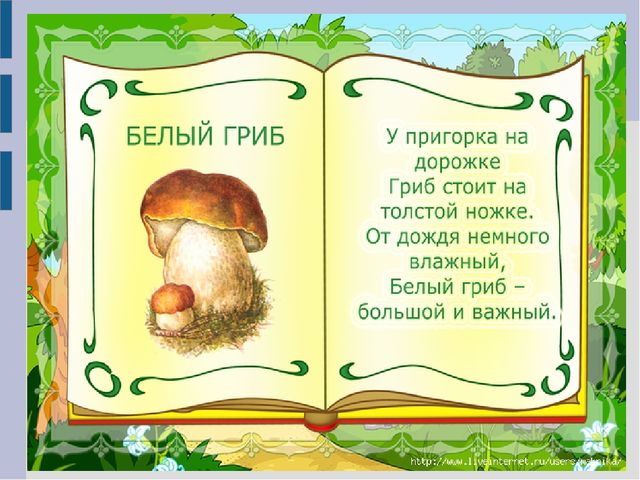 Презентация для детей младшего дошкольного возраста "Съедобные и несъедобные грибы"