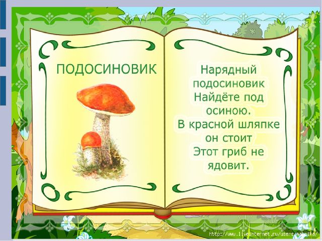 Презентация для детей младшего дошкольного возраста "Съедобные и несъедобные грибы"