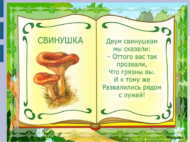 Презентация для детей младшего дошкольного возраста "Съедобные и несъедобные грибы"