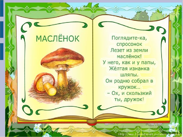 Презентация для детей младшего дошкольного возраста "Съедобные и несъедобные грибы"