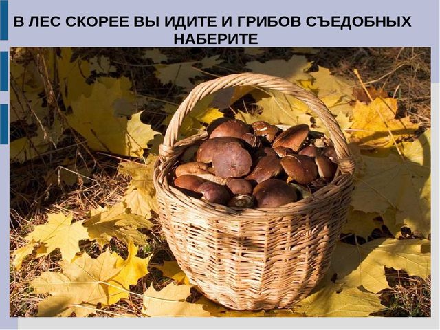 Презентация для детей младшего дошкольного возраста "Съедобные и несъедобные грибы"