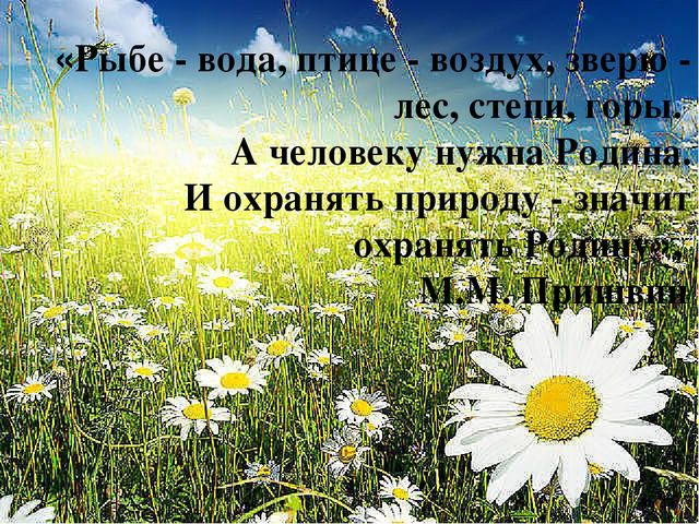 Презентация для воспитателей на тему "Экологическое воспитание в детском саду"