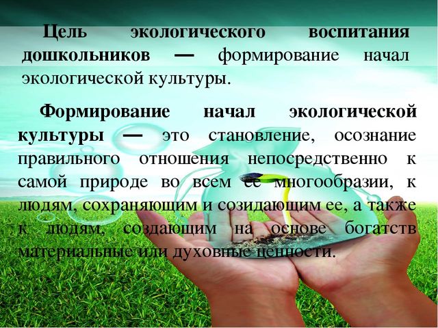 Презентация для воспитателей на тему "Экологическое воспитание в детском саду"