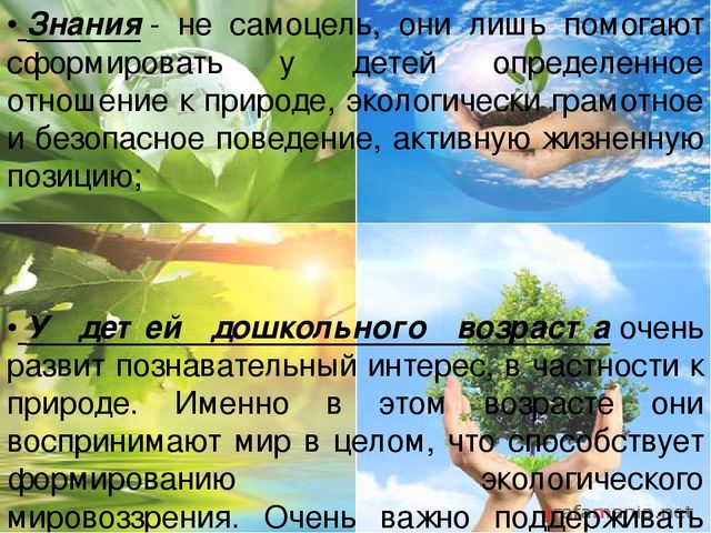 Презентация для воспитателей на тему "Экологическое воспитание в детском саду"