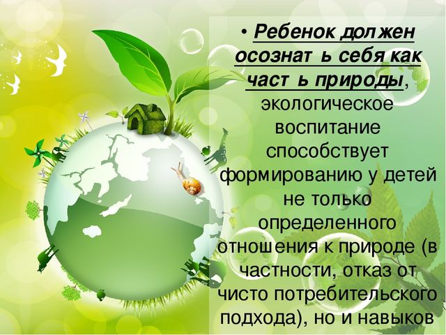 Презентация для воспитателей на тему "Экологическое воспитание в детском саду"