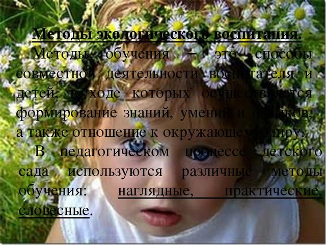Презентация для воспитателей на тему "Экологическое воспитание в детском саду"