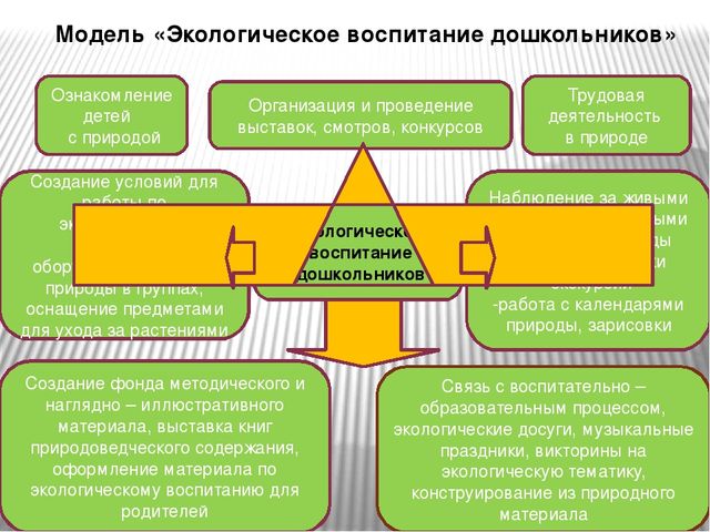 Презентация для воспитателей на тему "Экологическое воспитание в детском саду"