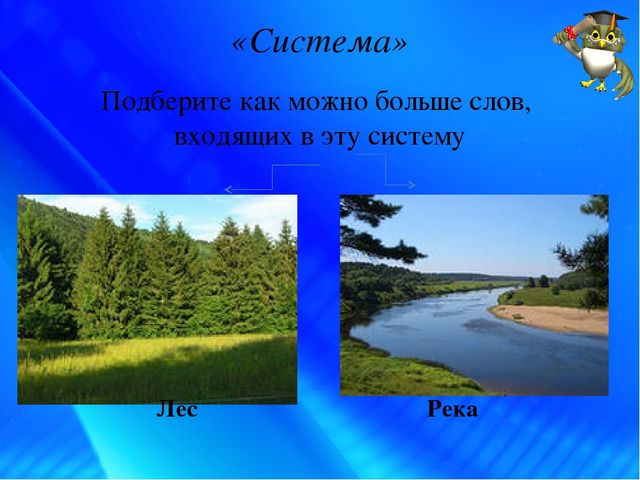 «Креативность – как один из компонентов профессиональной компетентности современного педагога ДОУ»