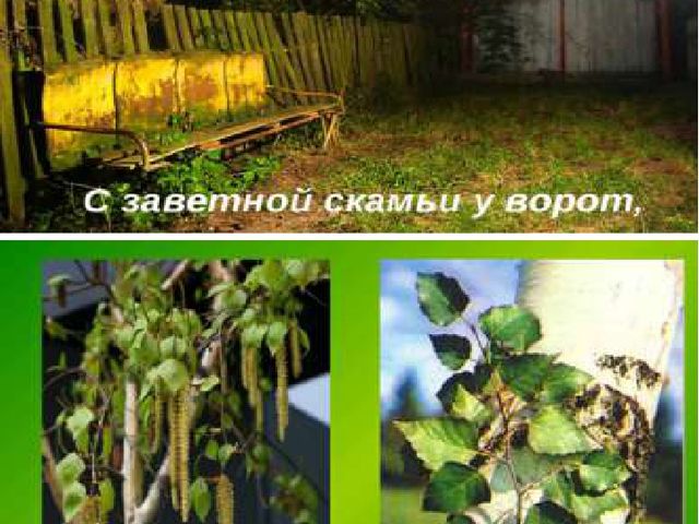 Презентация "С чего начинается Родина"