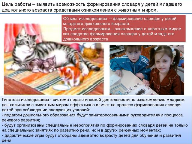 Презентация исследовательского проекта "Активизация словаря через ознакомление в животным миром"