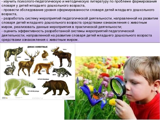 Презентация исследовательского проекта "Активизация словаря через ознакомление в животным миром"
