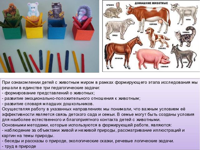Презентация исследовательского проекта "Активизация словаря через ознакомление в животным миром"