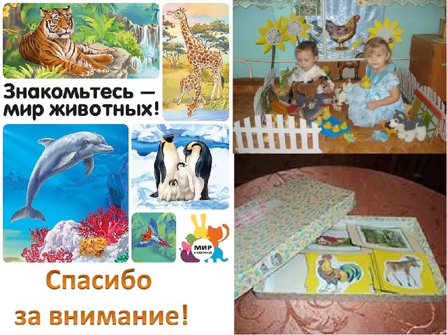 Презентация исследовательского проекта "Активизация словаря через ознакомление в животным миром"