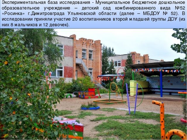 Презентация педагогического проекта "Активизация словаря младших дошкольников"