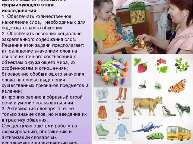 Презентация педагогического проекта "Активизация словаря младших дошкольников"