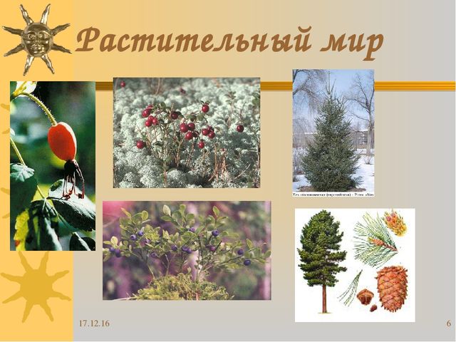 Презентация "Я живу в Югре"