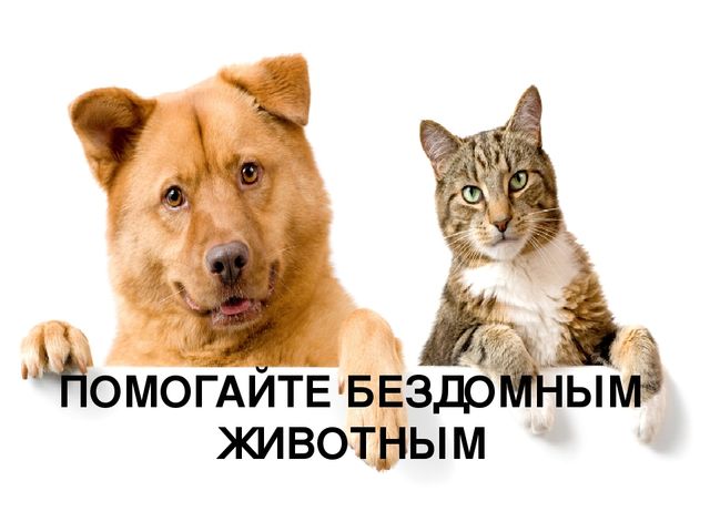 Презентация к родительскому собранию "Учите ребенка быть добрым"