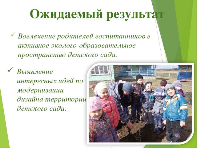 Презентация проекта "Двор моей мечты"