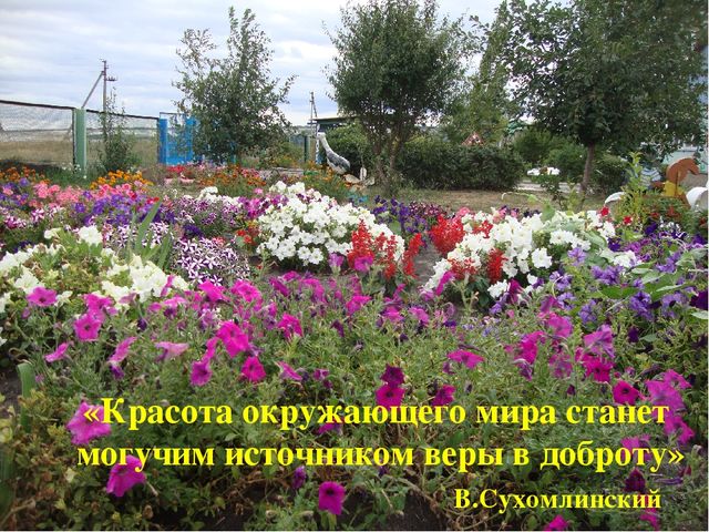 Презентация проекта "Двор моей мечты"