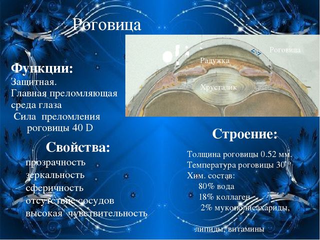 По теме: " Анатомия и физиология зрительного аппарата с точки зрения тифлопедагогике"
