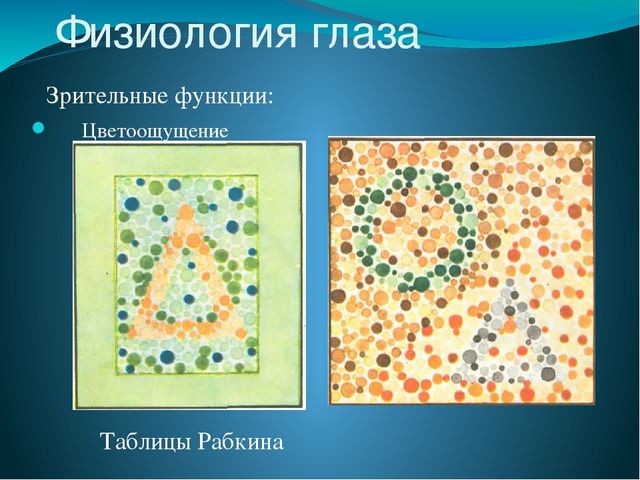 По теме: " Анатомия и физиология зрительного аппарата с точки зрения тифлопедагогике"