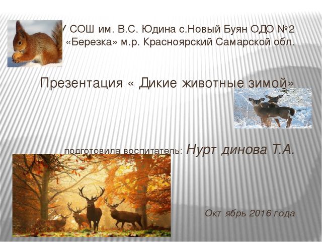 Презентация для ознакомления с миром природы