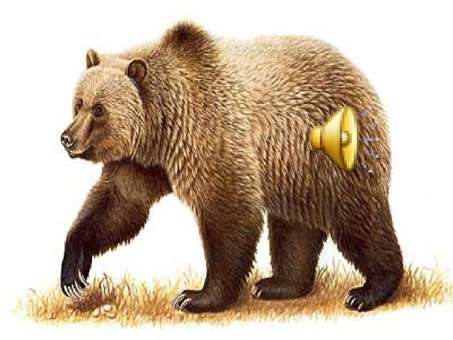 Презентация для ознакомления с миром природы