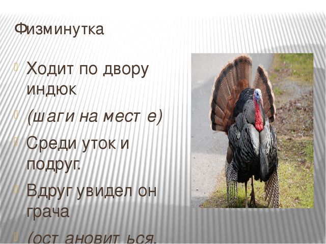 Домашние птицы Презентация к занятию по ознакомлению с окружающим миром