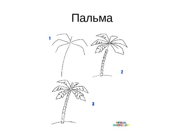Презентация "Алгоритм рисования деревьев"