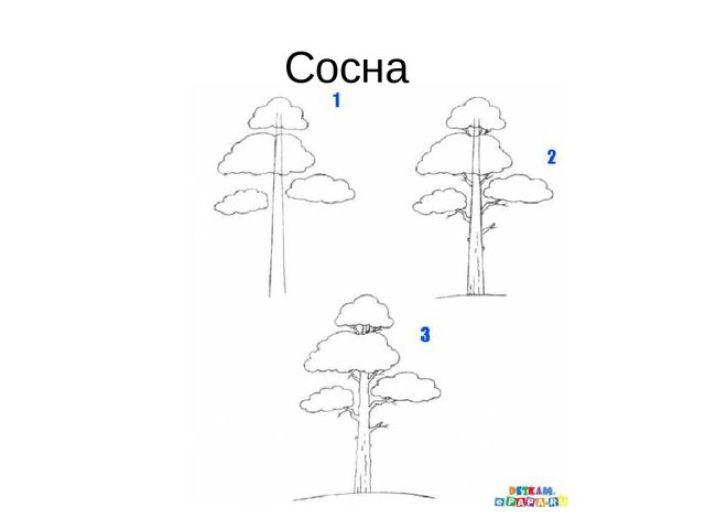 Презентация "Алгоритм рисования деревьев"