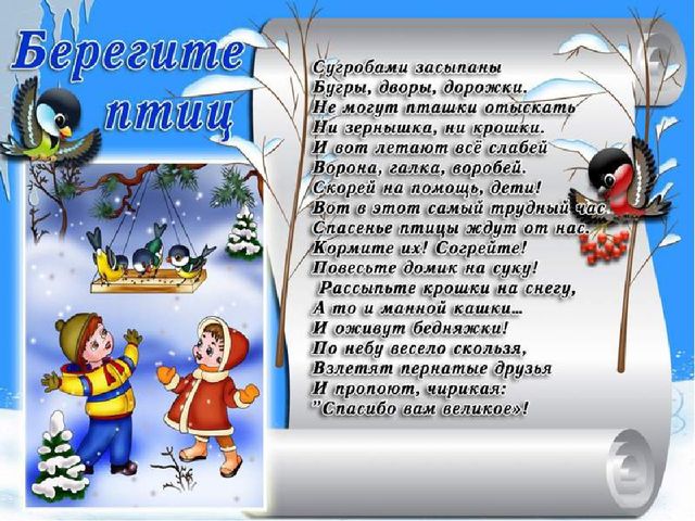 Презентация "Покормите птиц зимой"