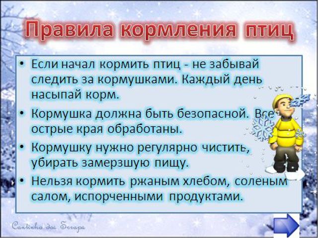 Презентация "Покормите птиц зимой"