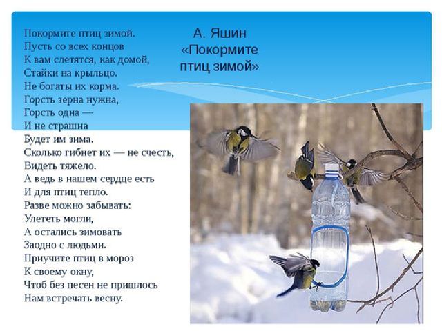 Презентация "Покормите птиц зимой"