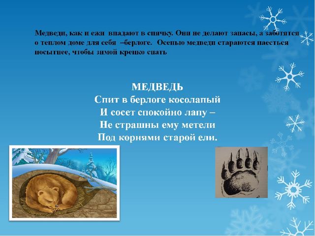 Презентация для подготовительной группы по окружающему миру: "Животные зимой"
